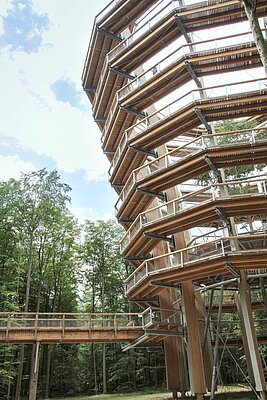 Baumwipfelpfad in Ebrach mit Rundumblick in die waldreiche Landschaft des Steigerwaldes