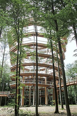 Baumwipfelpfad in Ebrach mit Rundumblick in die waldreiche Landschaft des Steigerwaldes 