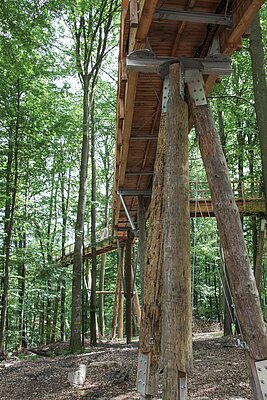 Baumwipfelpfad in Ebrach - im Herzen des Steigerwaldes